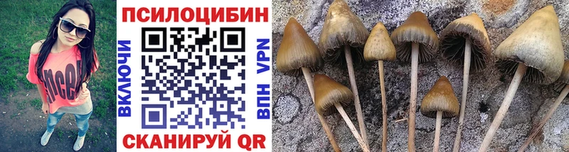 ОМГ ОМГ ТОР  Мелеуз  Галлюциногенные грибы мицелий 